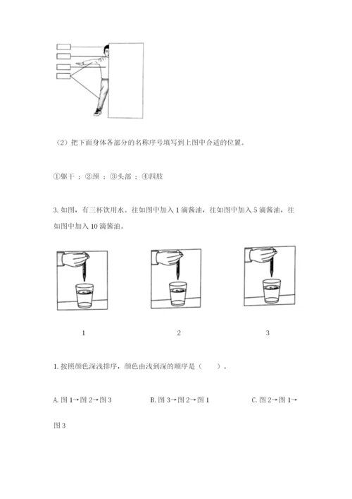 教科版二年级下册科学期末测试卷带答案（精练）.docx