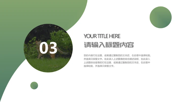 人与自然大熊猫活动宣传通用PPT模板