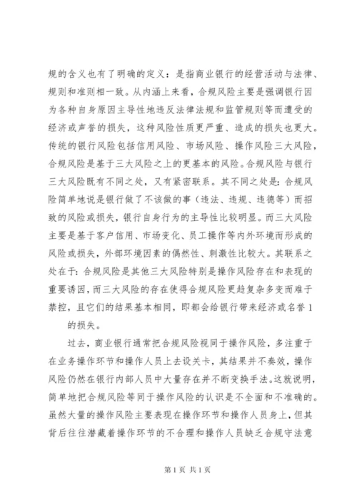 合规风险管理工作典型发言材料 (2).docx