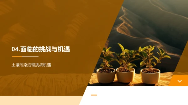 破茧成蝶：土壤修复新纪元