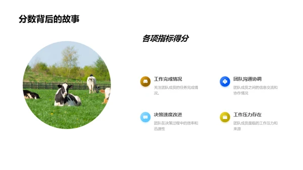 团队效能全面分析