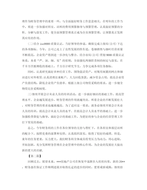 精编之财务年度计划模板【三篇】.docx