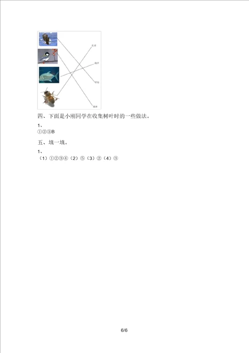 大象版一年级科学上册期末测试卷带答案