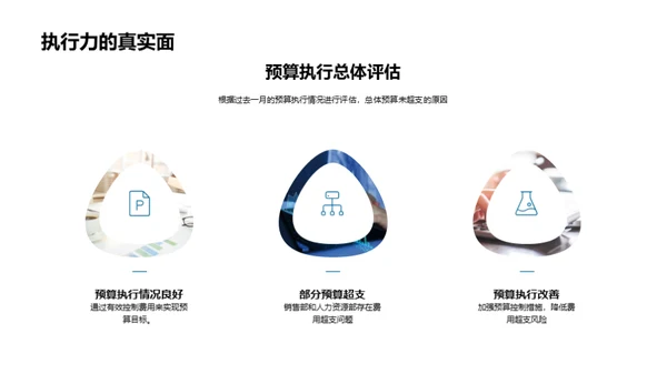 预算管理评估与策略