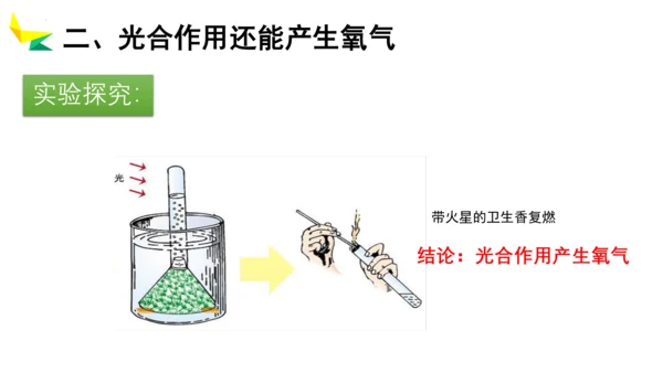 3.5.1 光合作用吸收二氧化碳释放氧气2023-2024学年七年级生物上册精品教学课件（人教版）(