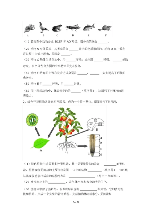 2021年苏教版九年级生物上册期末考试题