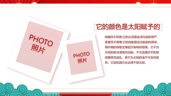 红色喜庆年货节促销营销策划方案PPT模板