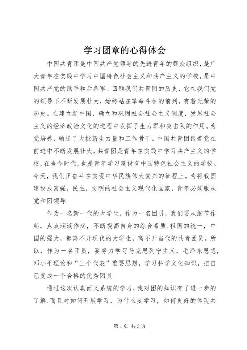 学习团章的心得体会.docx