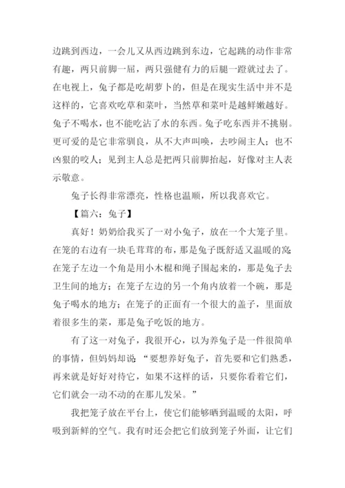 兔子的作文0.docx