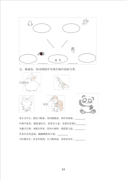 小学一年级科学上册期中试卷完整