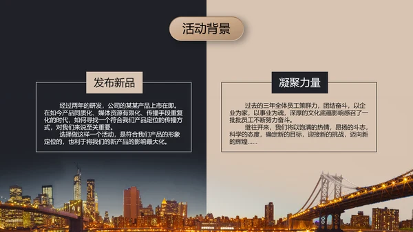 黑金高档金融商业活动策划执行方案PPT