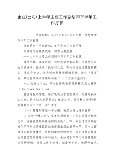 企业(公司)上半年主要工作总结和下半年工作打算.docx