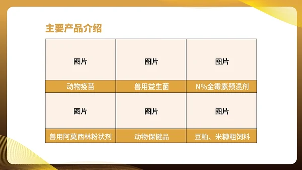黄色商务风美容公司宣传介绍PPT模板