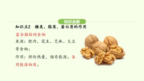第四单元-第二章-第一节 食物中的营养物质课件-2024-2025学年七年级生物下学期人教版(202