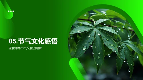 谷雨文化与文学解读