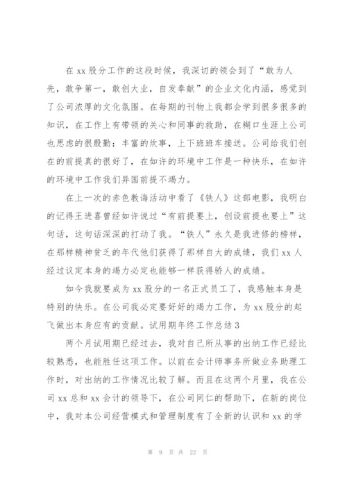 试用期年终工作总结.docx