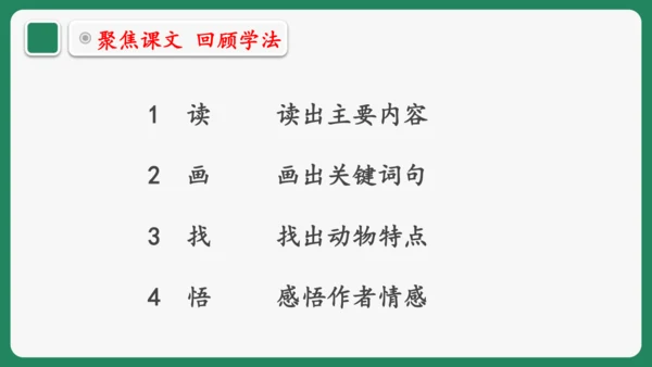 “一核双五”阅读教学法 统编版语文四年级下册第四单元 组文阅读课 课件
