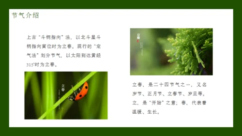 立春节气通用PPT模板