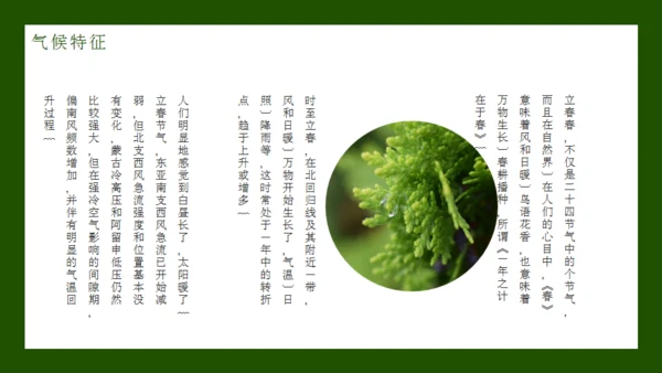 立春节气通用PPT模板
