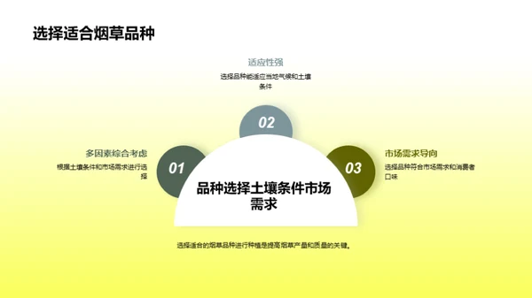 提升烟草产业链效益