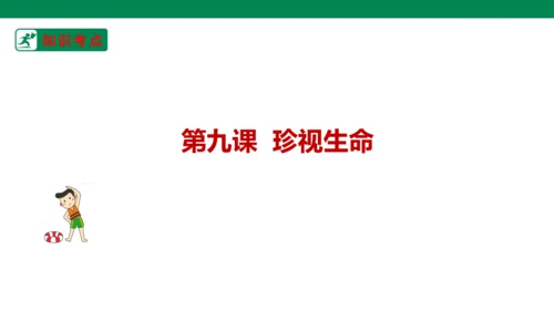 新课标七上第四单元生命的思考复习课件2023