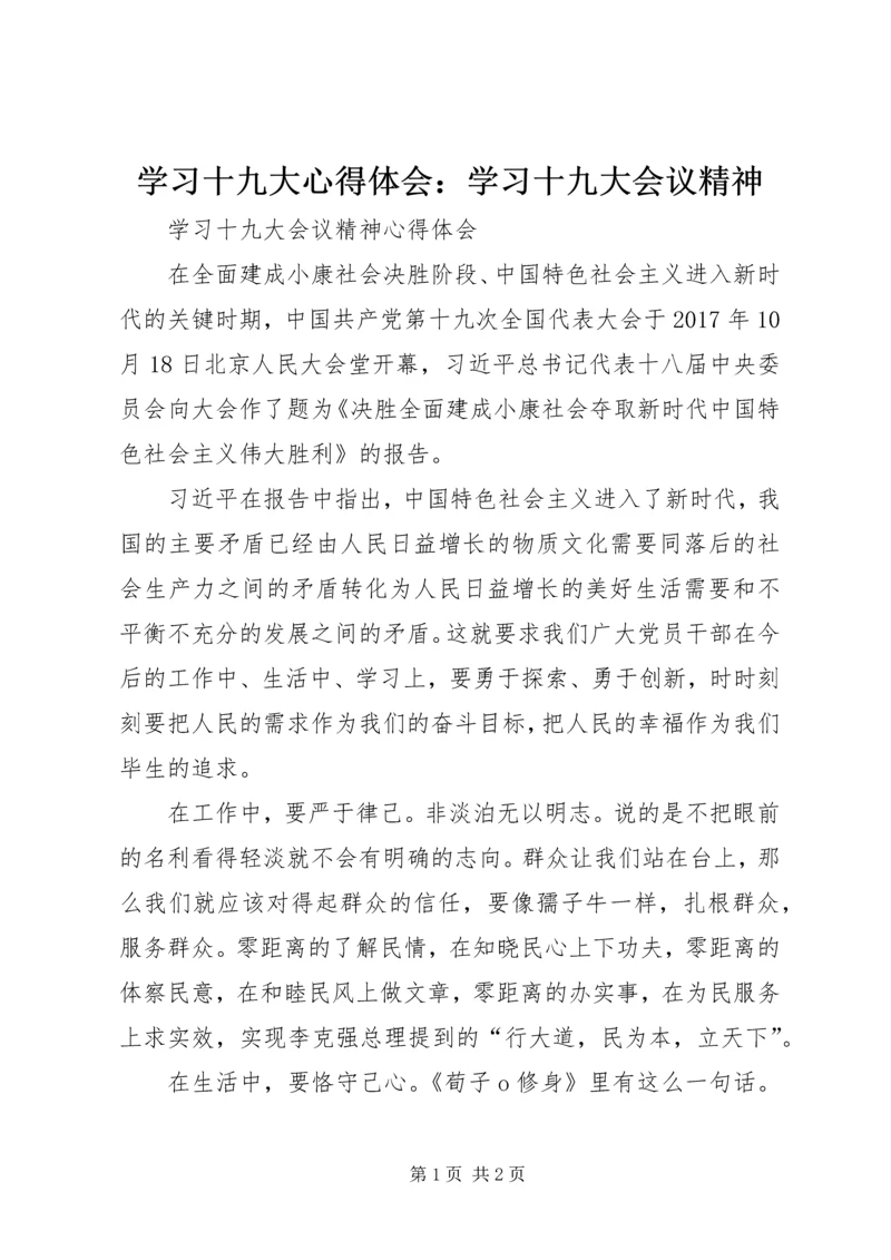 学习十九大心得体会：学习十九大会议精神 (4).docx