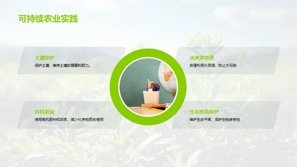 科技赋能现代农业