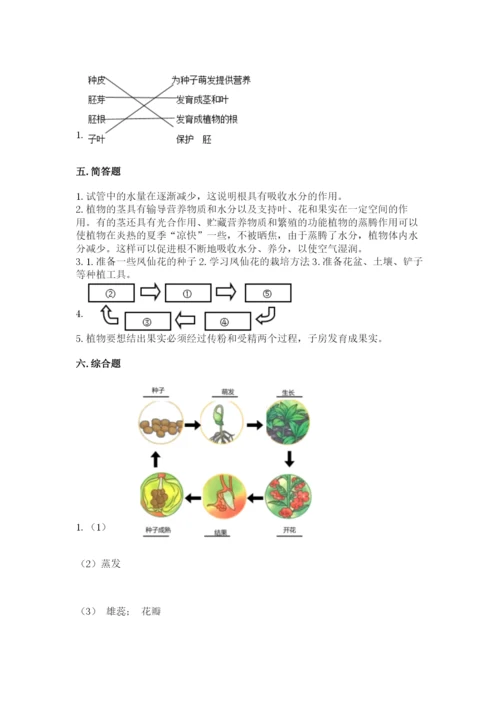 教科版科学四年级下册第一单元《植物的生长变化》测试卷精品【典优】.docx