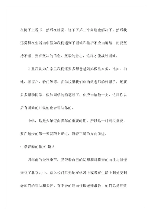 高中青春的作文529
