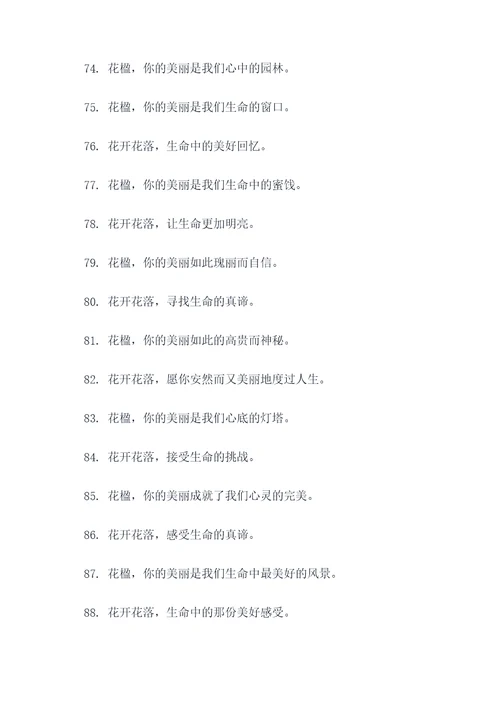 花楹的口号