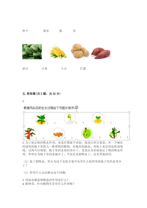 科学四年级下册第一单元植物的生长变化测试卷必考题.docx