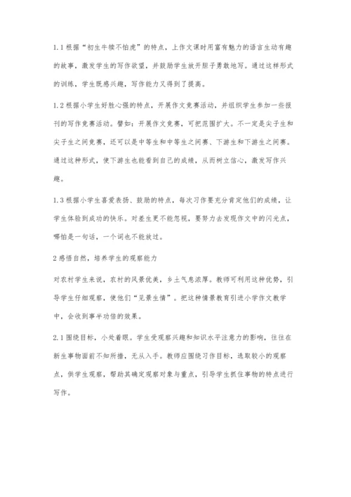 提高农村小学作文教学有效性的几点探讨.docx