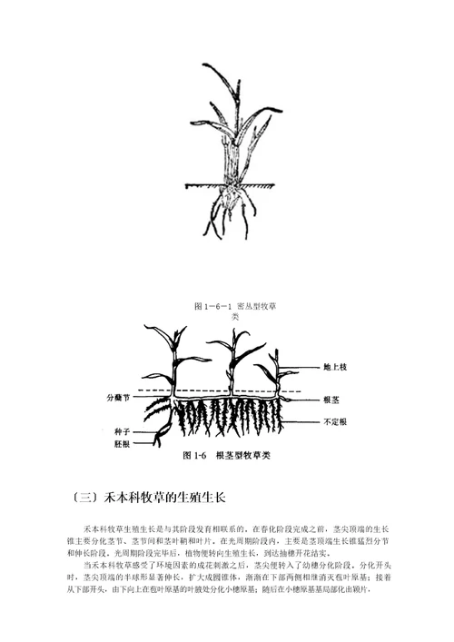 优质牧草高产栽培与利用牧草的生物学特性第一节牧草的生长发育