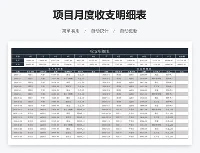 项目月度收支明细表