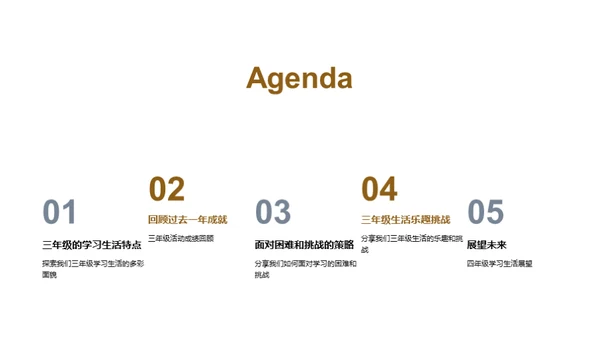 三年级：挑战与乐趣