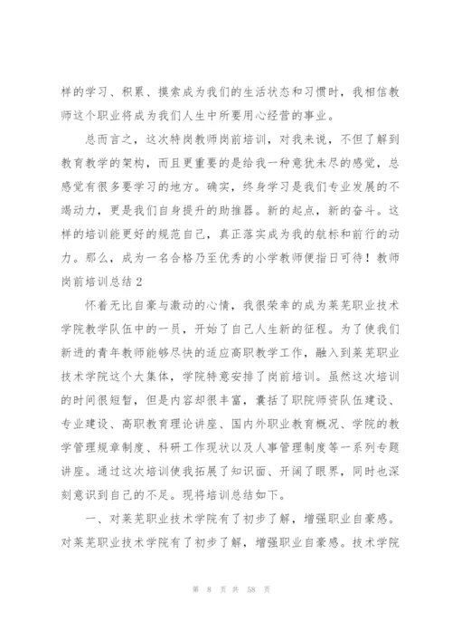 教师岗前培训总结(15篇).docx