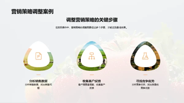 农产品精准营销之道