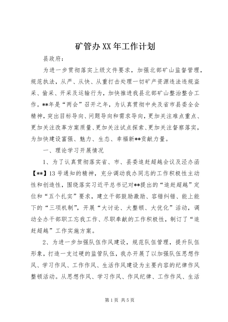 矿管办XX年工作计划.docx