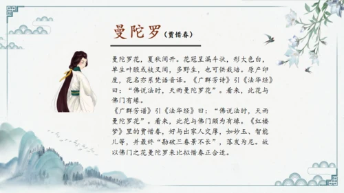 红楼多解读红学通用PPT模板