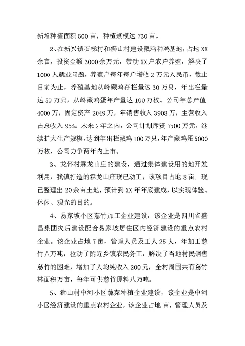 农村建设工作总结