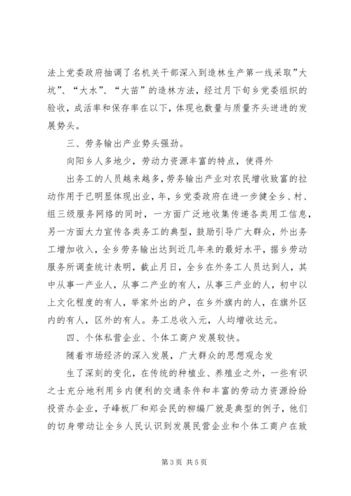 向阳乡二五年六项重点工作汇报.docx