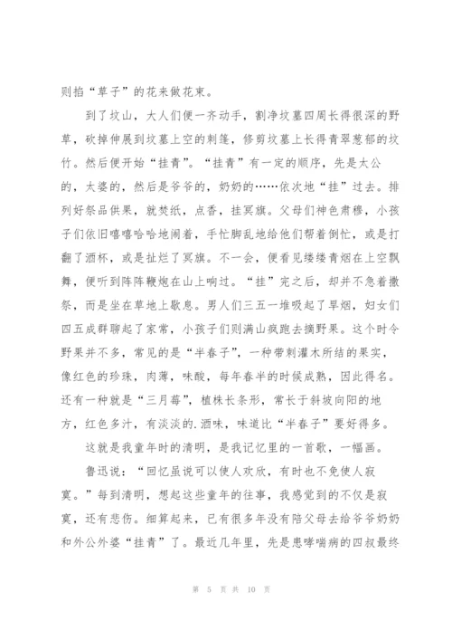 描写清明节见闻作文5篇.docx
