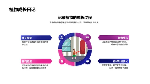 植物生长报告PPT模板