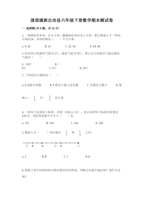 清原满族自治县六年级下册数学期末测试卷一套.docx