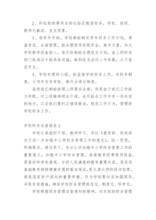 学校财务自查报告.docx
