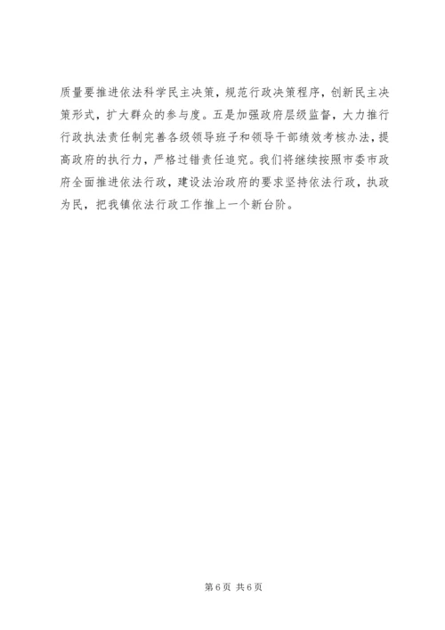 乡镇年度依法行政工作总结.docx
