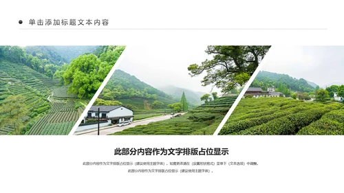 清新乡村旅游新农村建设乡村建设乡村旅游PPT模板
