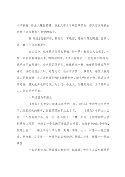 六年级根鸟有感400字五篇