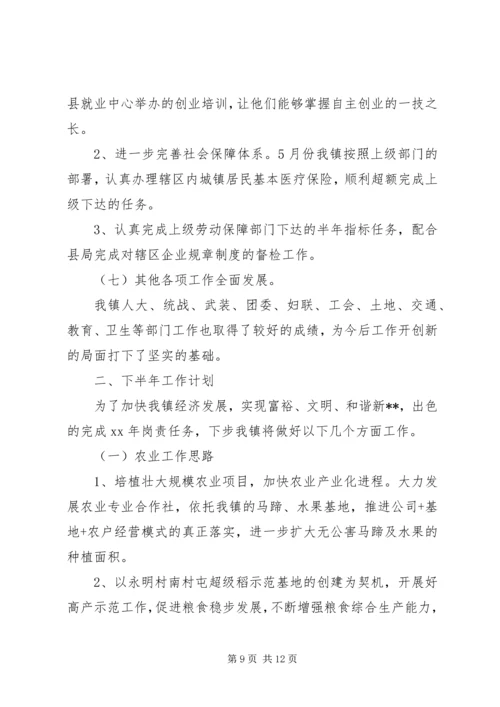 乡镇某年上半年总结及下半年工作计划.docx