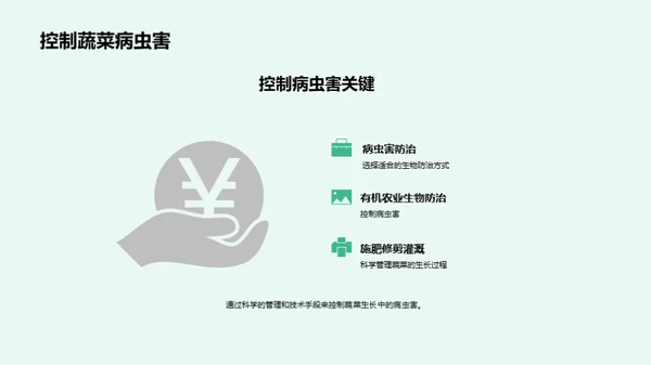 绿色丰收的科技密码